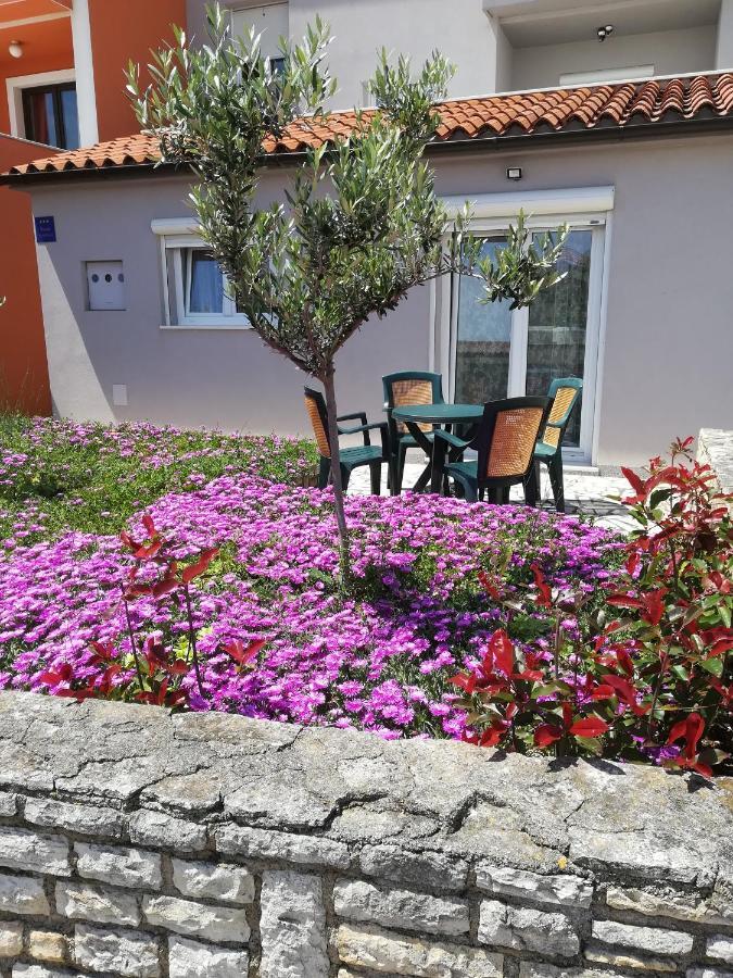 Apartment Lavanda Premantura Buitenkant foto